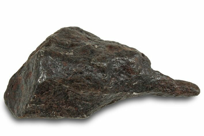 Canyon Diablo Iron Meteorite ( g) - Arizona #319636
